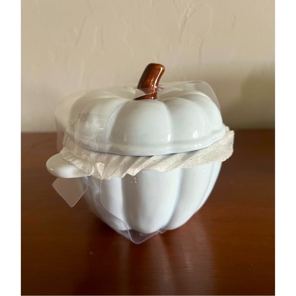 💙Light Baby Blue Festive Fall Thanksgiving Pumpkin Ceramic Casserole Cocotte💙 - Picture 2 of 8